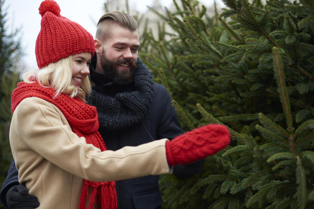 Prodejce vánočních stromků radí